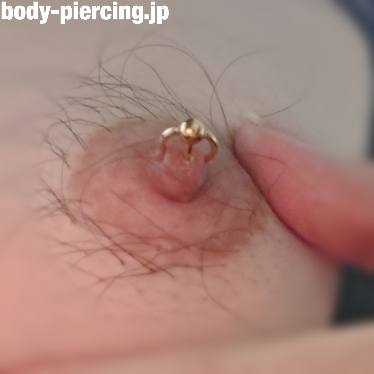 きゃぼんさんのニップルピアスの写真
