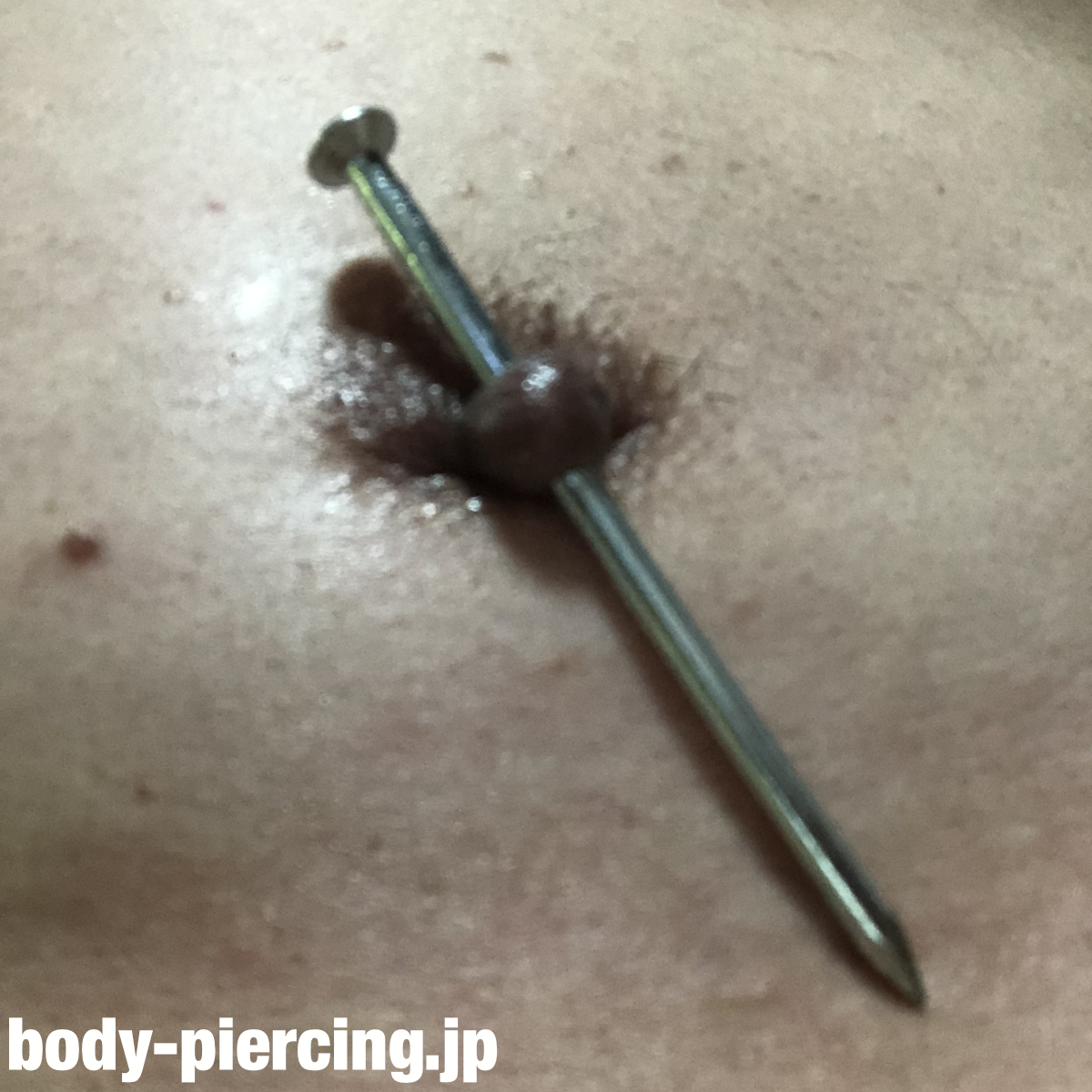ヒロシさんのニップルピアス